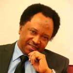 NWFL Congratulates Newly Promoted Premiership Clubs, Applauds Championship Sponsor Dr. Robert Onyeani