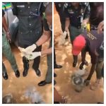 INEC refutes viral Lagos APC candidates list, advises against false election notice 